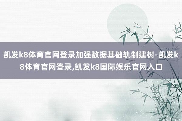 凯发k8体育官网登录加强数据基础轨制建树-凯发k8体育官网登录,凯发k8国际娱乐官网入口