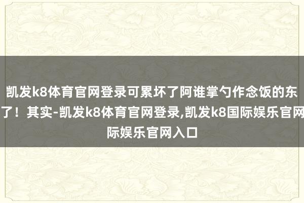 凯发k8体育官网登录可累坏了阿谁掌勺作念饭的东谈主了！其实-凯发k8体育官网登录,凯发k8国际娱乐官网入口