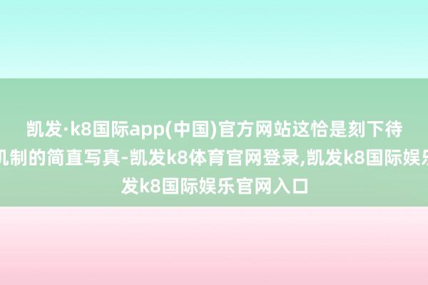凯发·k8国际app(中国)官方网站这恰是刻下待业金挽救机制的简直写真-凯发k8体育官网登录,凯发k8国际娱乐官网入口
