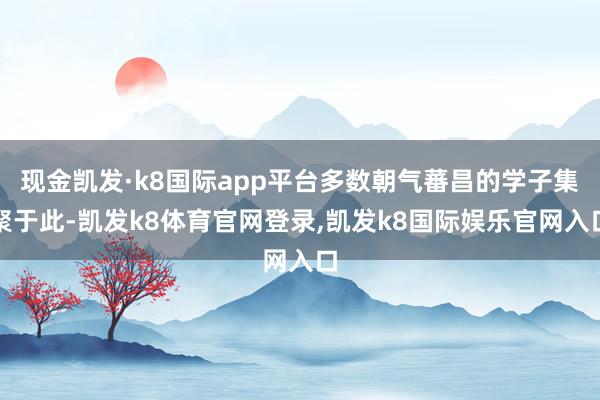 现金凯发·k8国际app平台多数朝气蕃昌的学子集聚于此-凯发k8体育官网登录,凯发k8国际娱乐官网入口