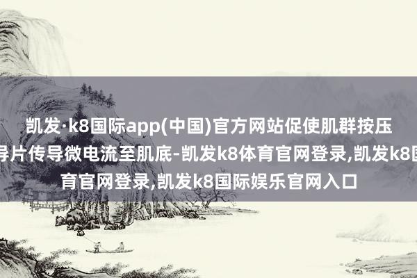 凯发·k8国际app(中国)官方网站促使肌群按压；EMS通过感应导片传导微电流至肌底-凯发k8体育官网登录,凯发k8国际娱乐官网入口
