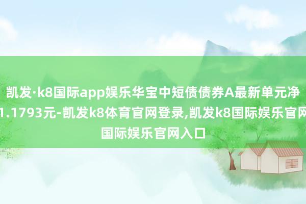 凯发·k8国际app娱乐华宝中短债债券A最新单元净值为1.1793元-凯发k8体育官网登录,凯发k8国际娱乐官网入口