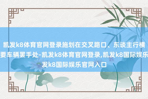 凯发k8体育官网登录施划在交叉路口、东谈主行横谈前等需要车辆罢手处-凯发k8体育官网登录,凯发k8国际娱乐官网入口