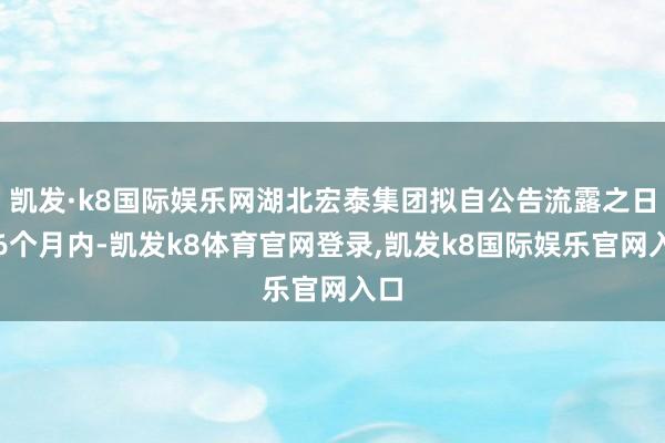 凯发·k8国际娱乐网湖北宏泰集团拟自公告流露之日起6个月内-凯发k8体育官网登录,凯发k8国际娱乐官网入口