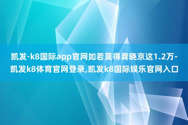 凯发·k8国际app官网如若莫得龚晓京这1.2万-凯发k8体育官网登录,凯发k8国际娱乐官网入口